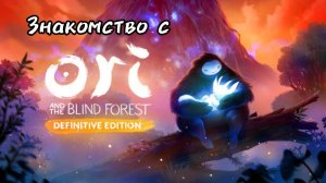 Знакомство с [Ori and the blind forest. Definition edition]
