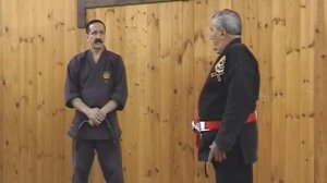 Дзесинмон Рауль Рисо, Семинар в Москве. Ч 4