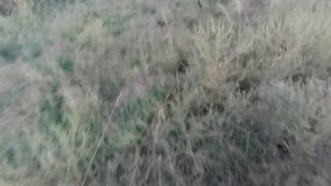 КОПАЮ МЕТАЛЛ С КВЕСТ Х5