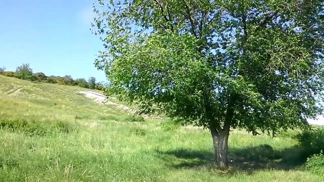 МОЩНЫЕ Аффирмации на ЗДОРОВЬЕ .Луизы Хей Я здорова смотреть онлайн