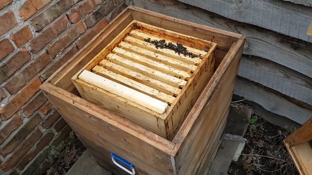 УЛЕЙ "ВЕЛИКОРУСЬКИЙ"™ Часть 20. Зимовка без утепления. Wintering without insulation смотреть онлайн