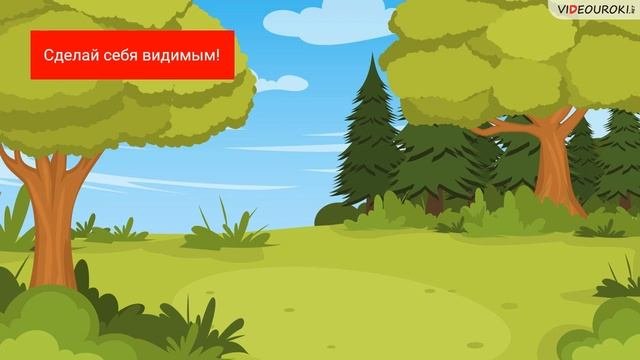 Правила безопасного поведения в лесу