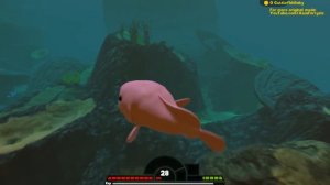 РЫБА КАПЛЯ ПРОТИВ МЕГАЛОДОНА, ПРОХОЖДЕНИЕ  | Feed and Grow Fish