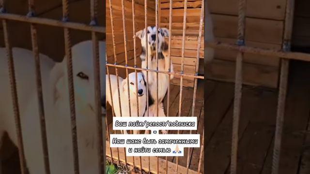 маленькое дело = большая помощь
