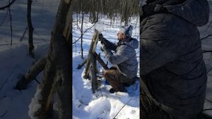 Как сделать солонец для зайца