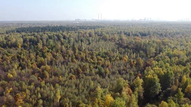 Новостройки Москвы - ЖК Сказочный лес смотреть онлайн