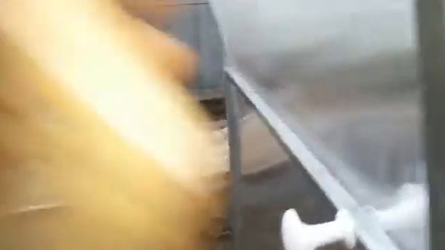 БОКОВАЯ ДВЕРЬ В ТЕПЛИЦЕ АРОЧНОЙ ФОРМЫ . ТЕПЛИЦА УСИЛЕННАЯ ФЕРМЕР 3М. смотреть онлайн