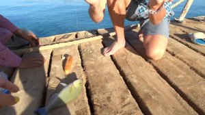 Рыбалка в Египте