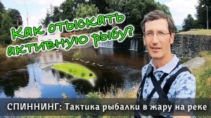 РЫБАЛКА В ЖАРУ на спиннинг. Сложно ли найти активную рыбу на микро речке? Ловля на воблер летом