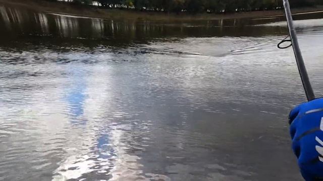 Рыбалка! День второй! Улов как на чёрных камнях!!! Астрахань! Бузан! Рыбалка!!! ЩУКА! смотреть онлайн