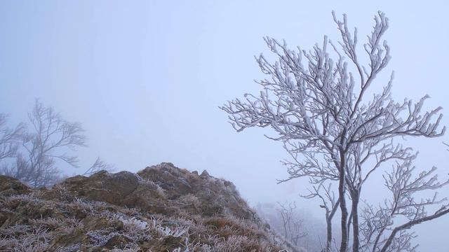 В УКРАИНУ ИДЕТ РЕЗКОЕ ПОХОЛОДАНИЕ: ГДЕ БУДЕТ ХОЛОДНЕЕ ВСЕГО смотреть онлайн