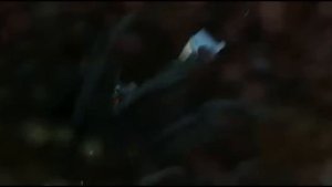 Skrillex -- Bug Hunt  в мультфильме Ральф.