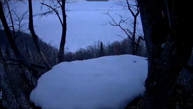 Нижняя Кама 19022020 смотреть онлайн