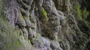 Дюденские водопады и Водопад Куршунлу в Анталии