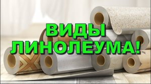 ВИДЫ ЛИНОЛЕУМА! Каких типов бывает Отличия линолеума для пола