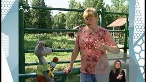 По секрету всему свету. Что такое заповедник (сурдоперевод)