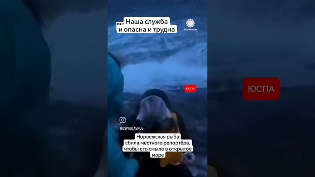 Норвежский репортёр получил рыбой по голове во время съёмки прогноза погоды