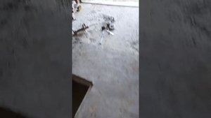 стук в передней подвеске деу нексия