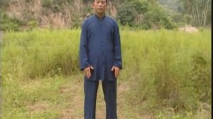 Оздоровительный цигун У Цинь Си (Игры 5-ти животных)