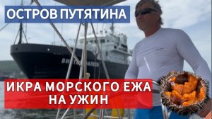 Икра морского ежа и скумбрия на ужин. На парусной яхте из Владивостока на остров Путятина.