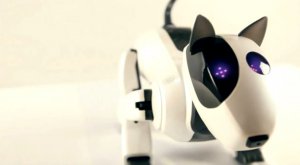 Genibo SD – робопес, купить робота (робот цена) роботы игрушки