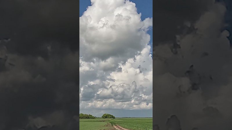 Природа Облака Таймлапс #nature #timelapse #clouds