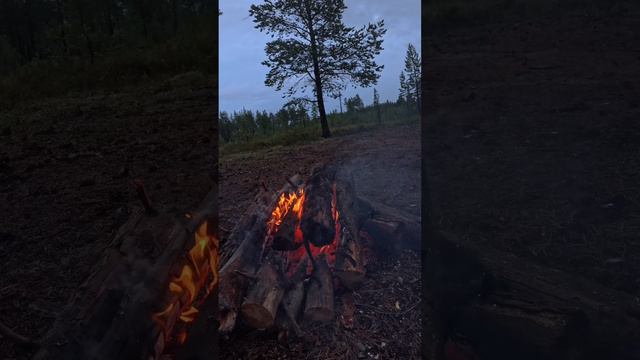Кемпинг под дождем ASMR, RELAX #camping #костер #джекрасселтерьер