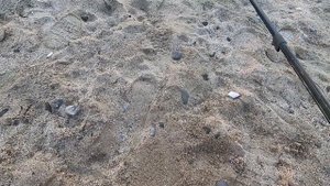 Поиск сокровищ на пляже