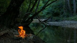 Грунт для герани комнатной