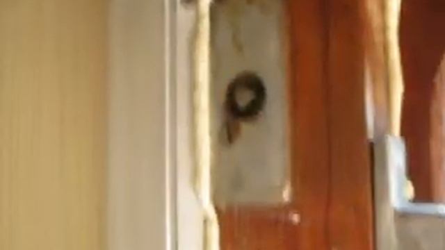 Привет РЖД и Якунину смотреть онлайн