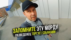 Стресс у щенка. Нелюбовь к собакам. Шпиц Оливия не входит в кадр