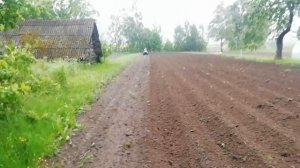 Обработка картофеля ежами минитрактором амжк-8