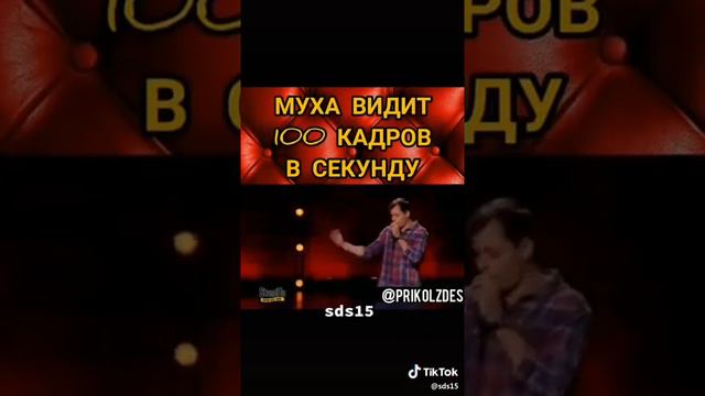 Муха видит сто кадров в минуту смотреть онлайн