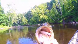 River2Sea Bubble Walker 80 | Go Pro | Bass Fishing