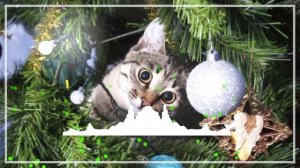 Мы едем куда то далеко и вот