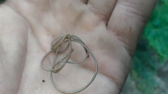 Червь"Конский Волос" смотреть онлайн