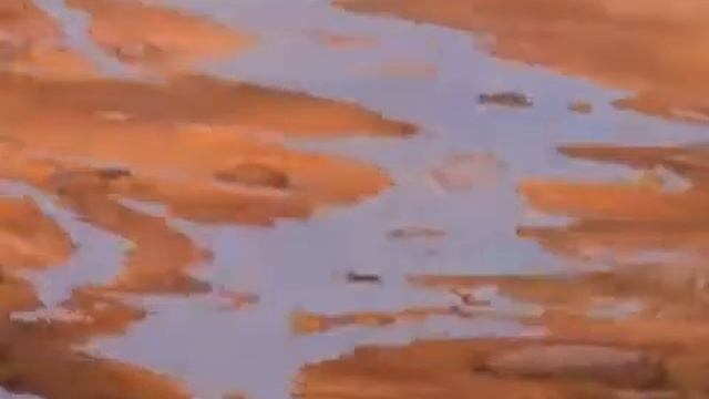 Незнайка и Звёздочка (Английский: 20.07.2031) на Русском языке смотреть онлайн