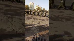 Военная присяги регар