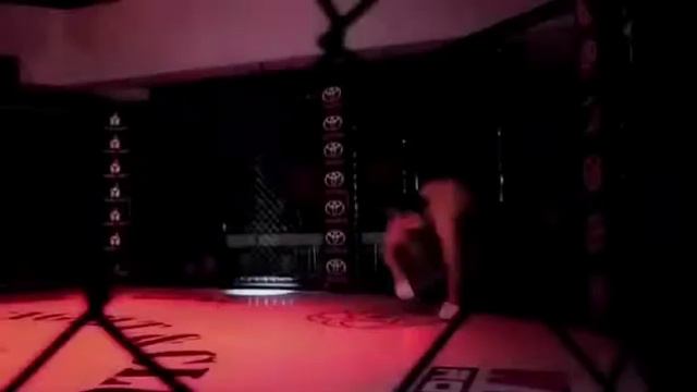 Саттар Махмудов WWFC 10 road to выход на бой смотреть онлайн