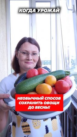 Необычный способ сохранить овощи до весны! #овощи #дом #дача #хранение #огород #урожай #лайфхак