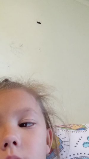 чипи чипи чапа чапа