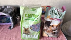 Как часто нужно менять клетку крысам? ?