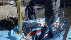 швертбот класс 470   HD 1080p