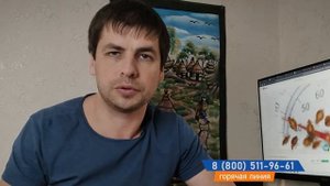 Что делать, чтобы не кусали клопы — тройная защита своими руками