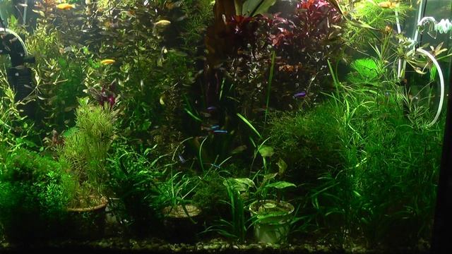 Миф 15. Удобрения должны быть в воде. смотреть онлайн