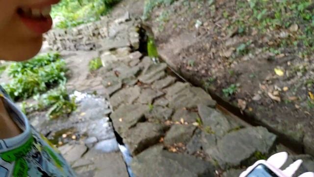 ИГРЫ КВЕСТЫ! Поиск подарков в огромном парке. ВЛОГ ПУТЕШЕСТВИЯ смотреть онлайн