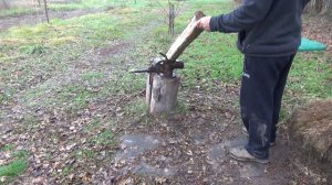 Древесина для изготовления длинного английского лука