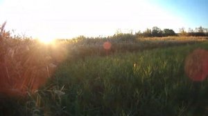 Пойманый селезень полная версия.mp4