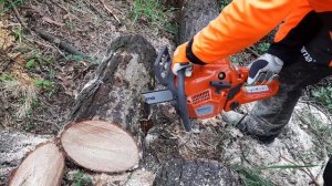The new generation of chainsaws Husqvarna 130 VS Husqvarna 135 MARK II