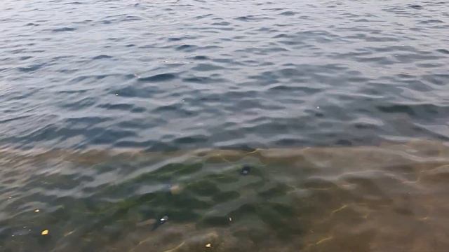 СложнейшаяОбработкаБерега озера. НаПримере этой Стены можно посмотреть всеСтадии "образования"Кладк смотреть онлайн